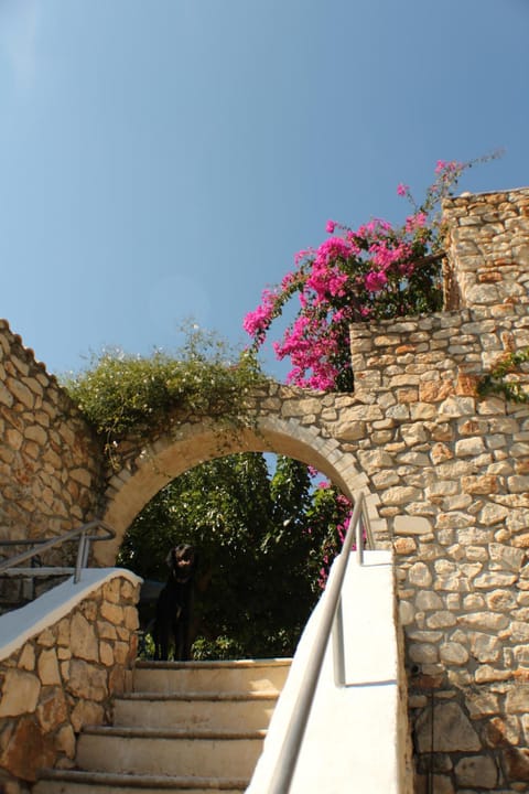 Tsivouli Accommodation Bed and Breakfast in Zakynthos, Greece