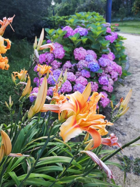 Garden, Garden view