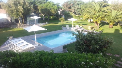 Garden, Swimming pool