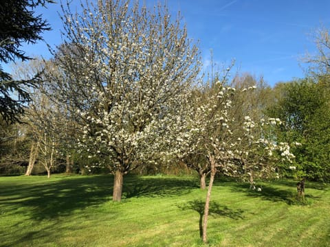 La villa rochette Bed and Breakfast in Île-de-France