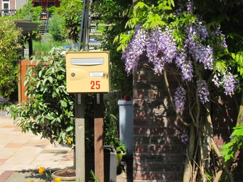 Facade/entrance, Garden