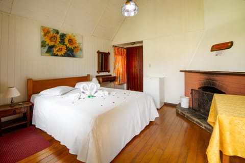 Bed, Photo of the whole room, Bedroom, fireplace