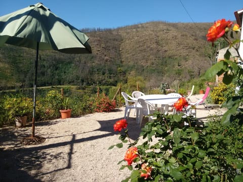 Patio, Garden, Mountain view