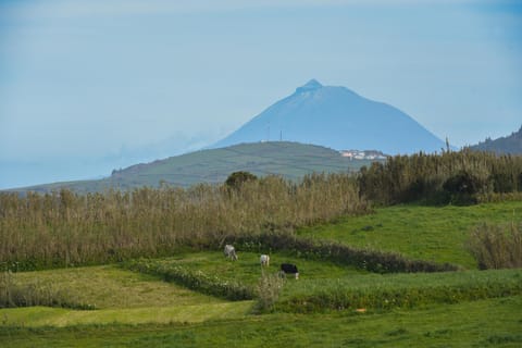 Casas do Pinheiro Condo in Azores District