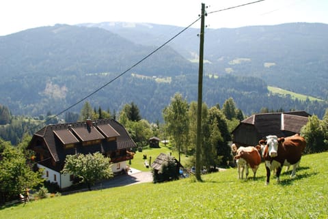 Bird's eye view, Mountain view