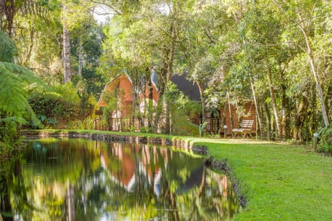 Property building, Garden, Lake view