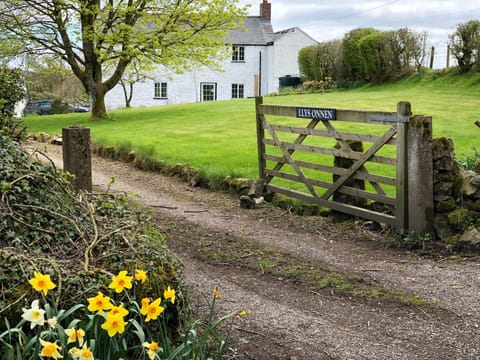 Spring, Garden