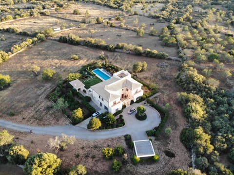 Bird's eye view, Swimming pool