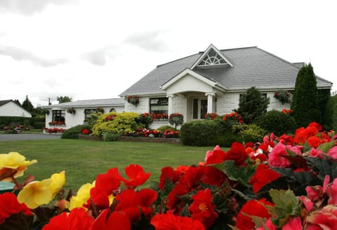 Property building, Spring