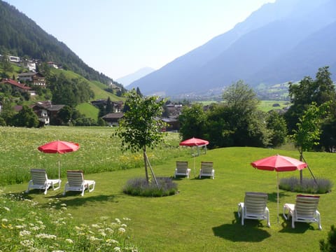 Garden, Mountain view