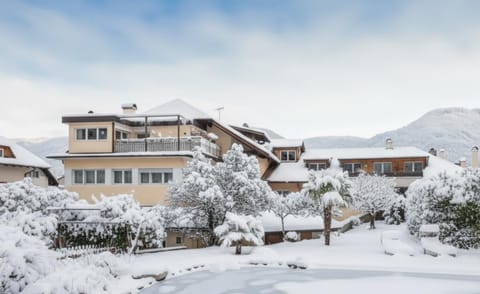 Property building, Winter, Swimming pool