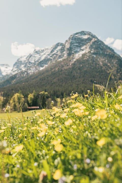 Kaltbachlehen Ferienwohnungen Apartment in Berchtesgadener Land