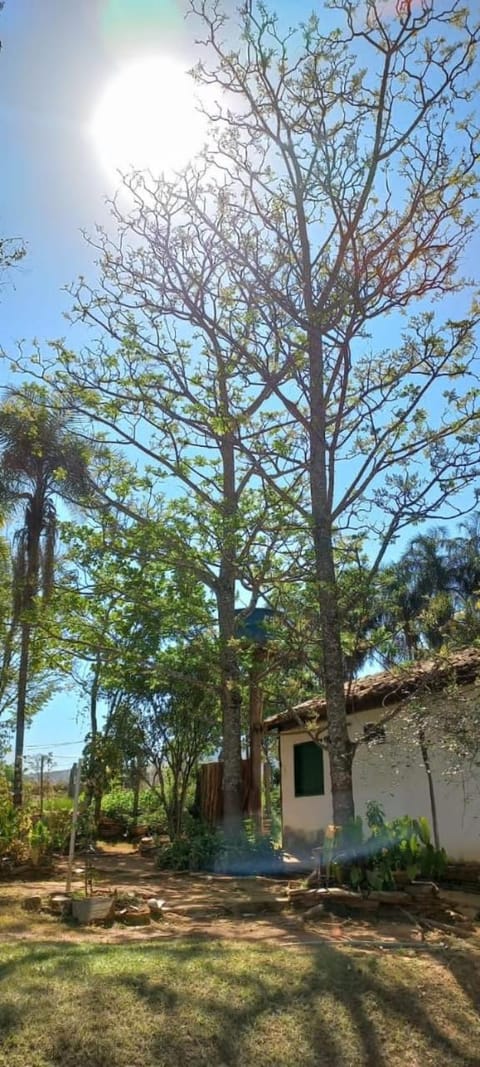 Chacara bica dágua House in State of Goiás