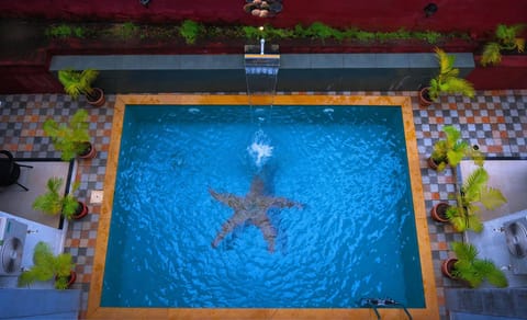 Balcony/Terrace, Pool view, Swimming pool