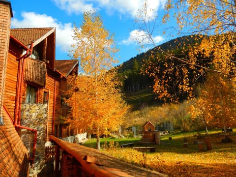 Facade/entrance, Garden, Autumn