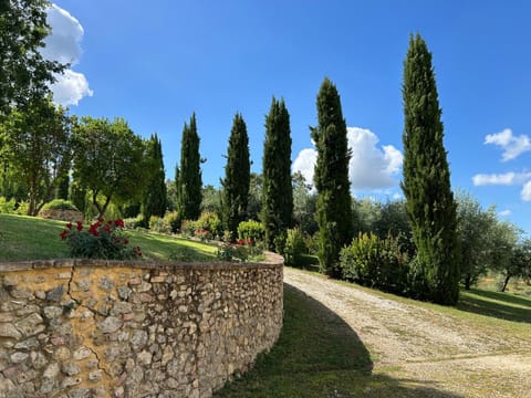 Natural landscape, Garden, Garden view