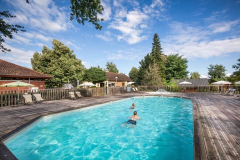 Natural landscape, Garden, Garden view, Pool view, Swimming pool, sunbed