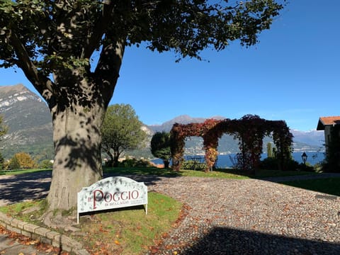 Garden, Autumn