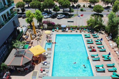 Garden, Pool view, Swimming pool