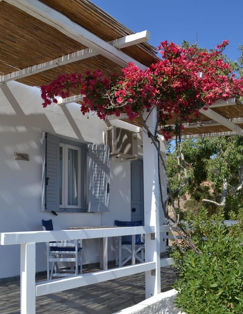 Balcony/Terrace, Balcony/Terrace