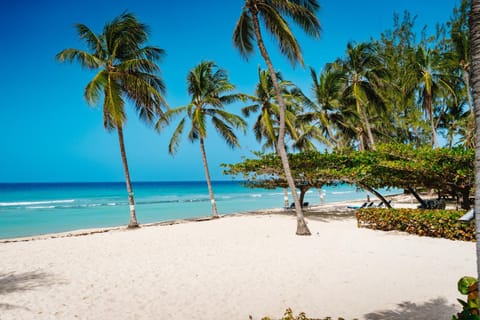 Day, Beach, Sea view