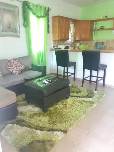 One bedroom apartement with furnished garden and wifi at La Savane 2 km away from the beach Copropriété in Saint Martin