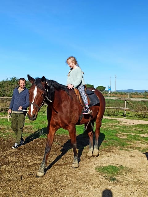 Horse-riding