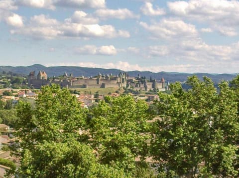 Gîte avec vue imprenable sur la Cité House in Carcassonne