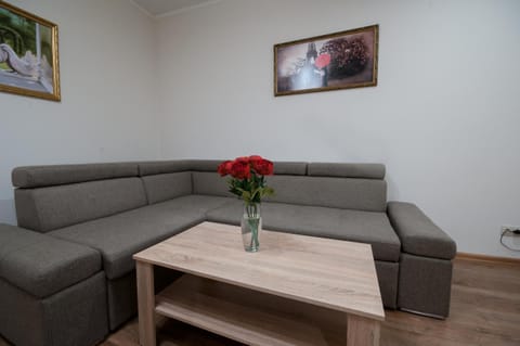 Wonderful flat on city center (Mukachivska 4/19) Apartment in Slovakia