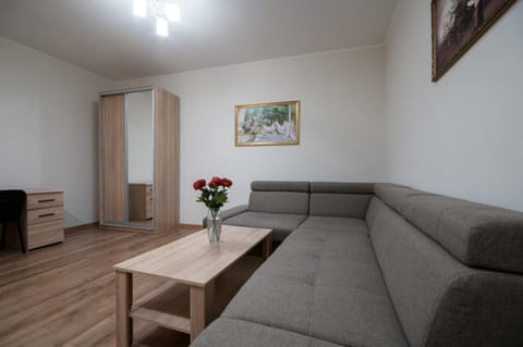 Wonderful flat on city center (Mukachivska 4/19) Apartment in Slovakia