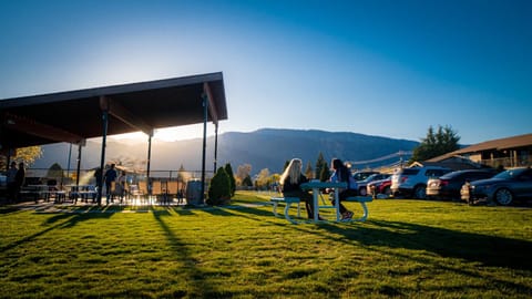 People, BBQ facilities, Sunset, group of guests