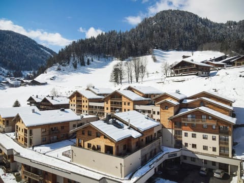 Property building, Natural landscape, Winter