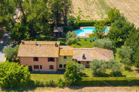 Bird's eye view, Garden, Garden view, Swimming pool, sunbed