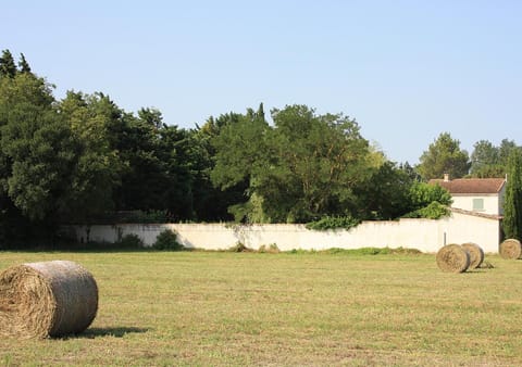 La Maison Des Invites Bed and Breakfast in Pernes-les-Fontaines