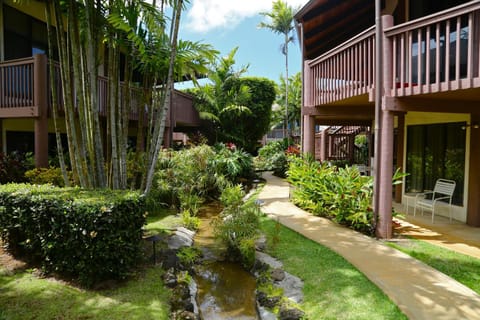 Natural landscape, Garden