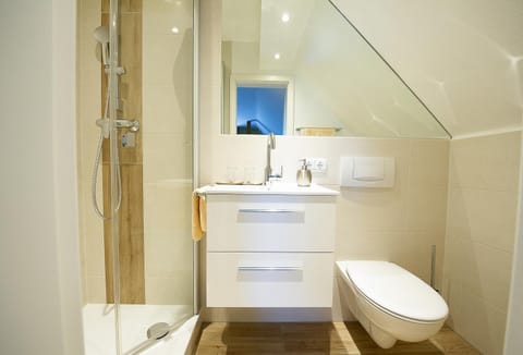 Shower, Toilet, Bathroom, Photo of the whole room, Decorative detail