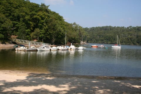 Lake view