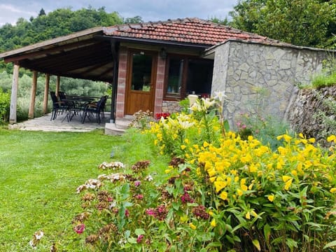 Property building, Garden, Garden view