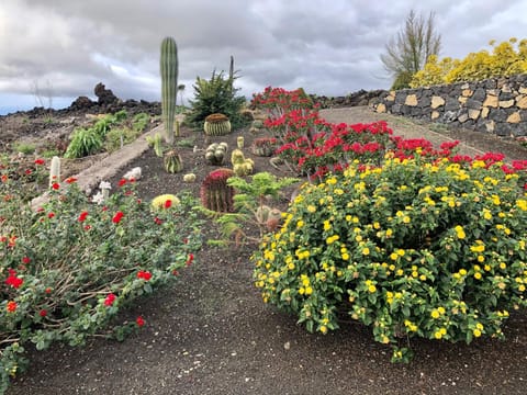 Garden, Garden view