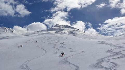 Haus am Brunnen Apartment in Canton of Grisons