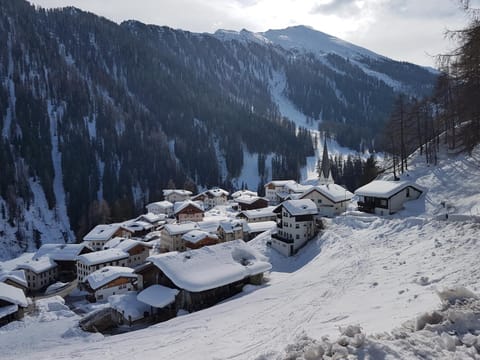 Haus am Brunnen Apartment in Canton of Grisons