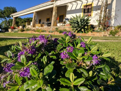 Property building, Garden