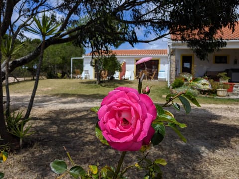 Property building, Facade/entrance, Garden