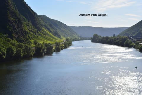 Mosel-Suiten Wohnung in Cochem-Zell