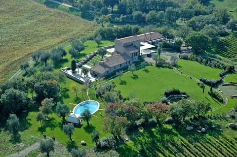 Day, Bird's eye view