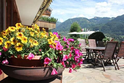 Patio, Day, Garden, Mountain view
