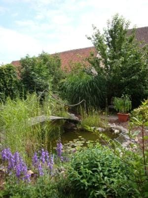 Garden, Inner courtyard view