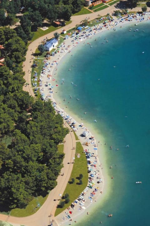 Neighbourhood, Natural landscape, Beach