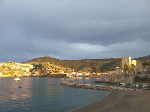 Boramar Appartamento in Collioure