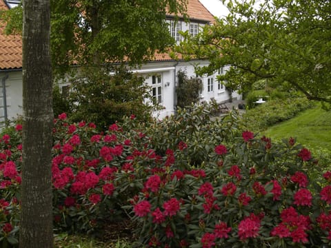 Juhl's Bed & Breakfast Apartment in Region of Southern Denmark